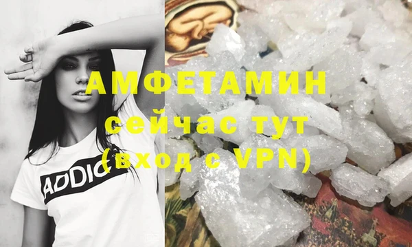 шишки Белокуриха