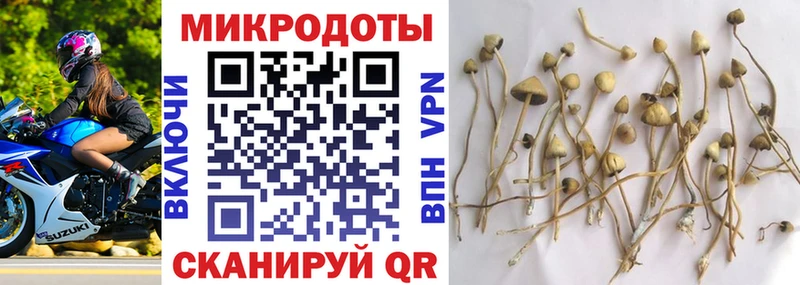 Галлюциногенные грибы MAGIC MUSHROOMS  Нея 