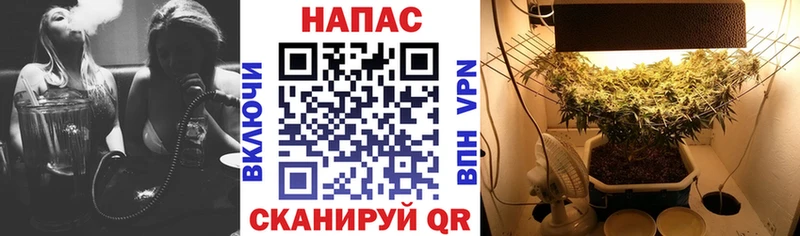 Канабис OG Kush  наркотики  Нея 